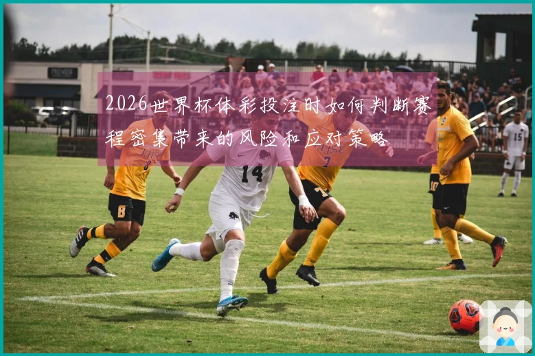 2026世界杯体彩投注时如何判断赛程密集带来的风险和应对策略