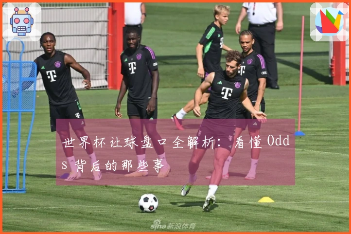 世界杯让球盘口全解析：看懂 Odds 背后的那些事