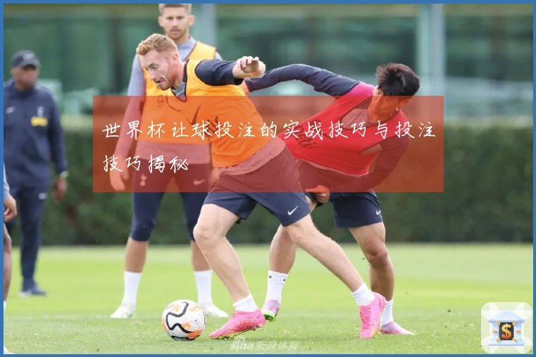 世界杯让球投注的实战技巧与投注技巧揭秘