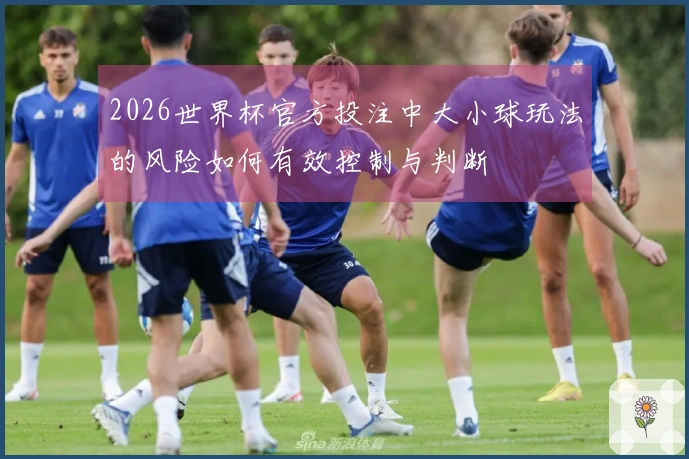 2026世界杯官方投注中大小球玩法的风险如何有效控制与判断